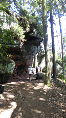 Felsenwald-Tour Juli 2018